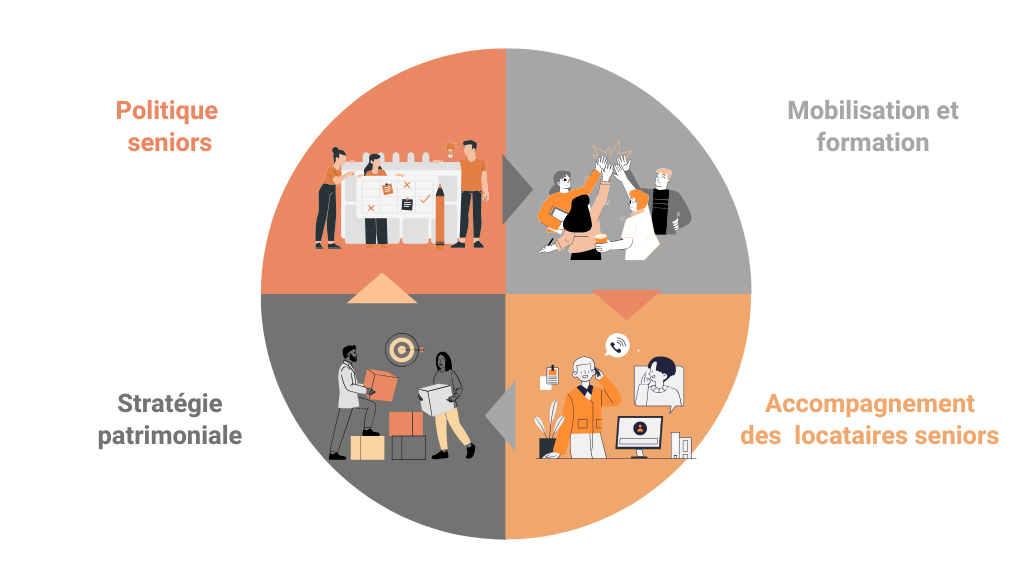 schema MAD fond blanc
